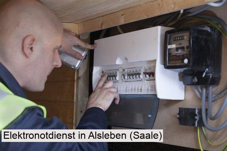 Elektronotdienst in Alsleben (Saale)